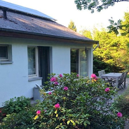 Villa Des Grues A Filly Houffalize Eksteriør bilde